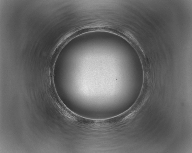 X0000054410781200508121724