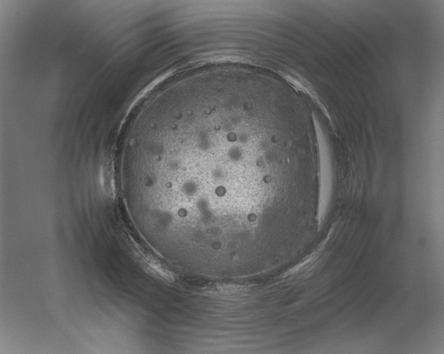 X0000054410782200508121724