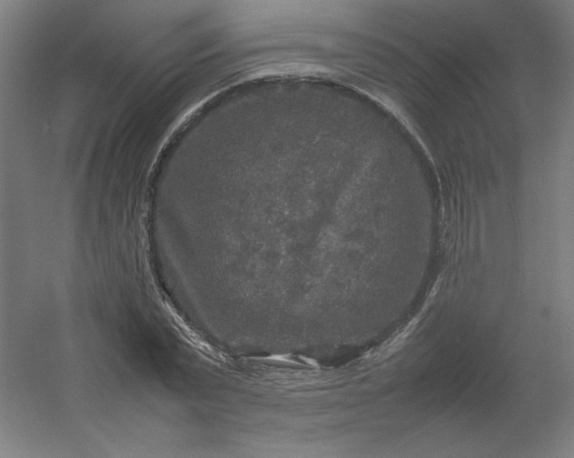 X0000054410783200508121724