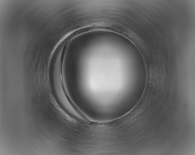 X0000054410784200508121724