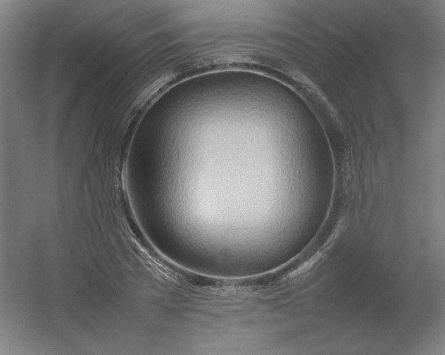 X0000054410785200508121724