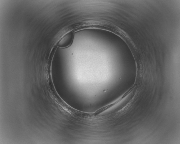 X0000054410786200508121724