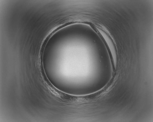 X0000054410787200508121724