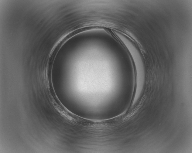 X0000054410788200508121724