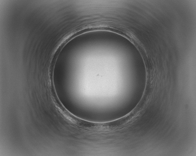 X0000054410789200508121724