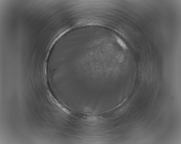 X0000054410790200508121724