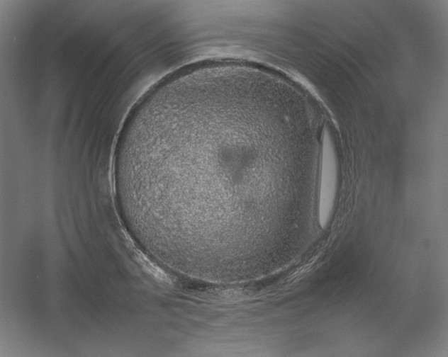 X0000054410791200508121724