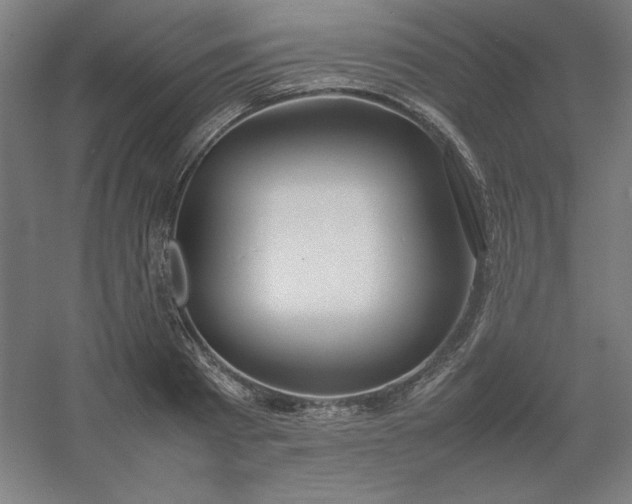 X0000054410793200508121724