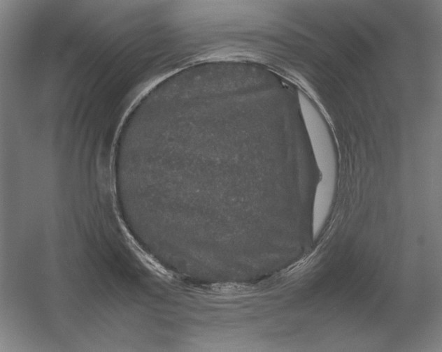 X0000054410795200508121724