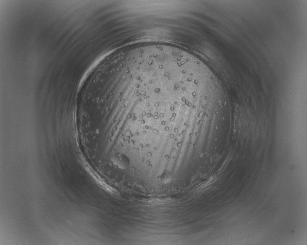 X0000054410796200508121724