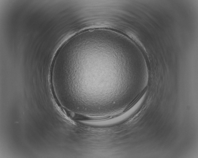 X0000054410797200508121724