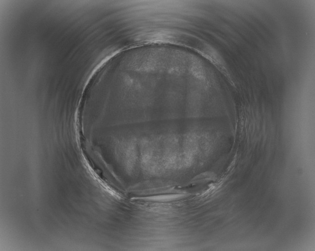 X0000054410798200508121724