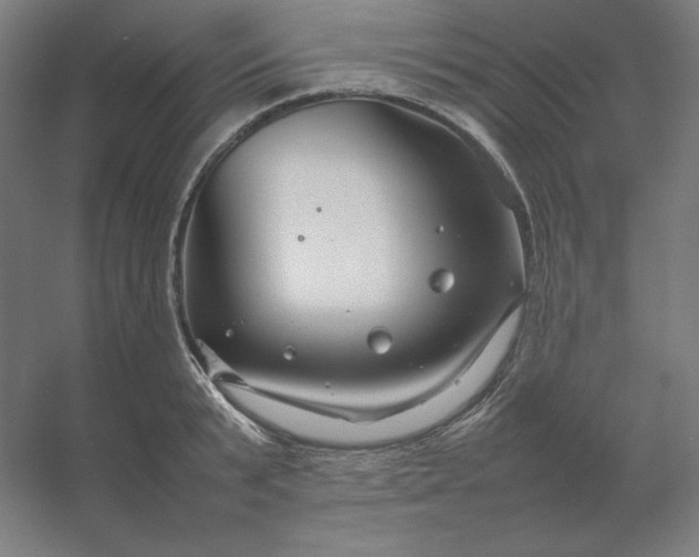 X0000054410799200508121724