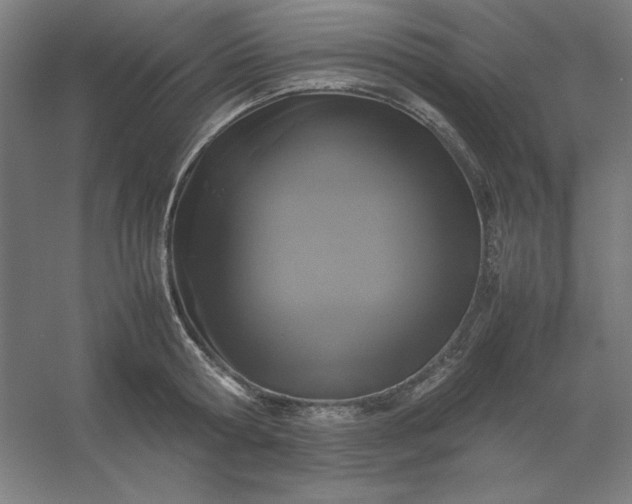 X0000054410802200508121724