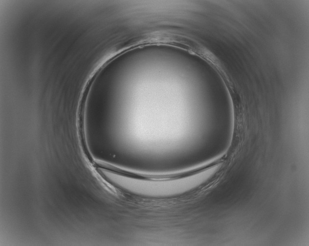 X0000054410803200508121724