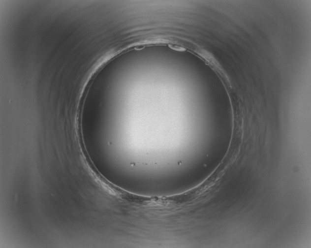 X0000054410805200508121724