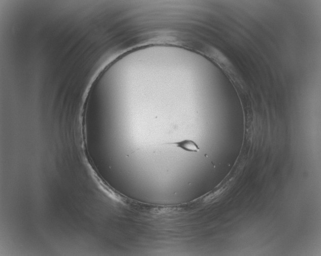 X0000054410808200508121723