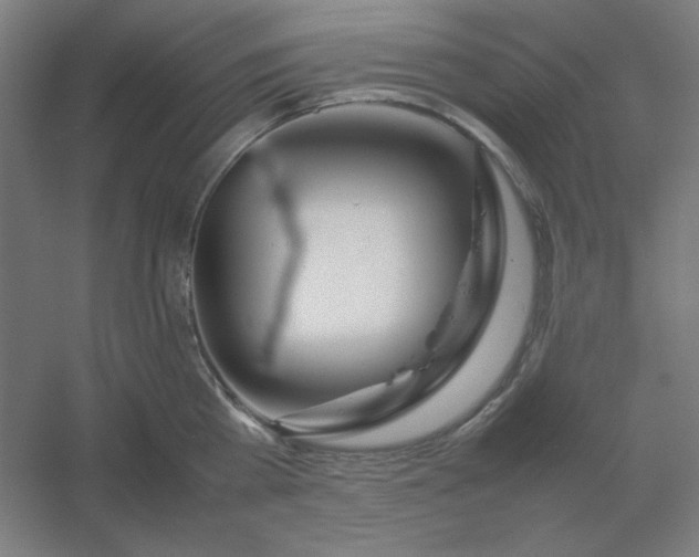 X0000054410809200508121723