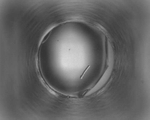 X0000054410812200508121723