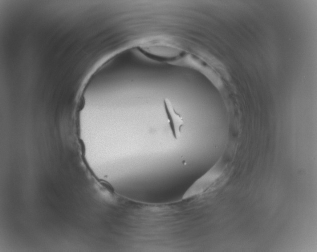 X0000054410816200508121723