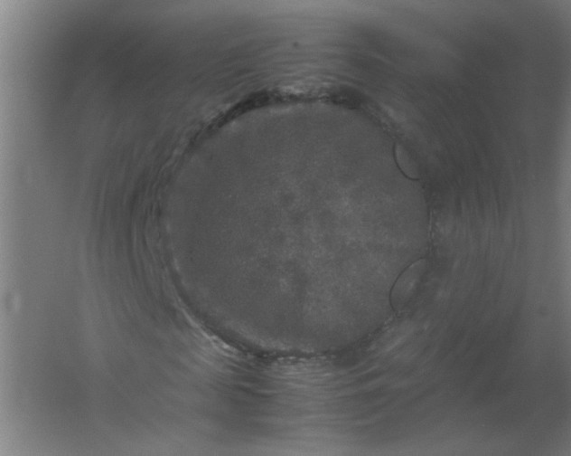 X0000054410817200508121723