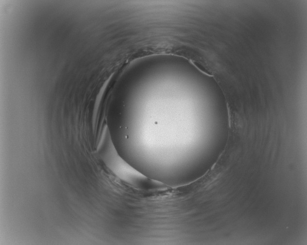 X0000054410818200508121723