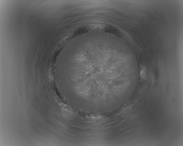 X0000054410819200508121723