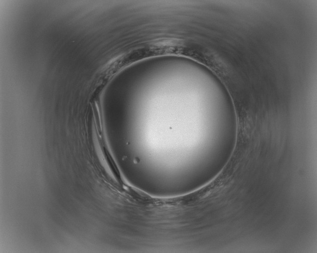 X0000054410821200508121723