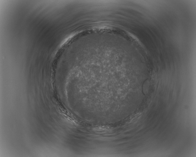 X0000054410823200508121723