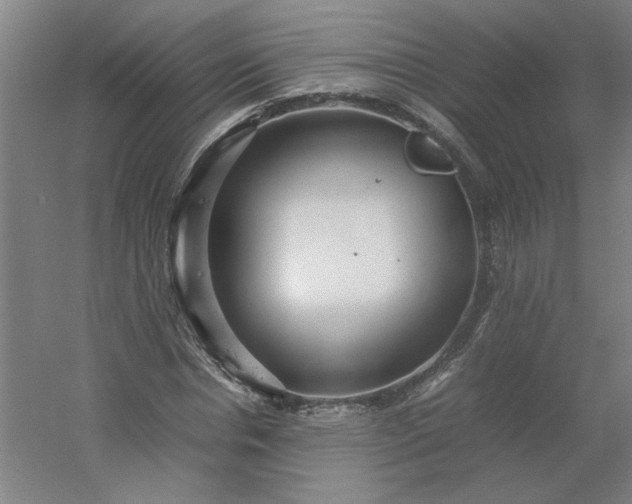 X0000054410826200508121723