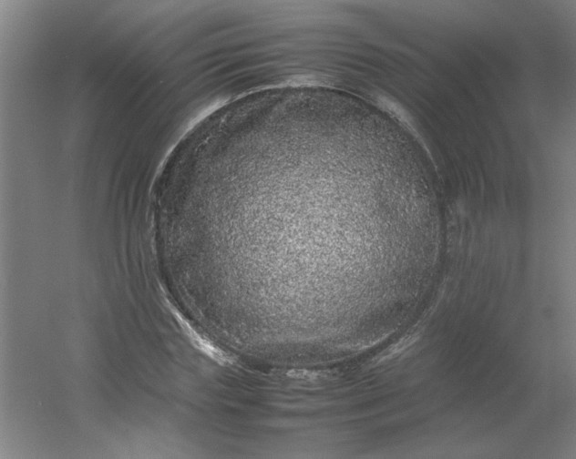 X0000054410827200508121723