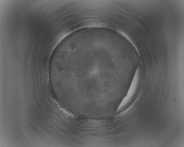 X0000054410829200508121723