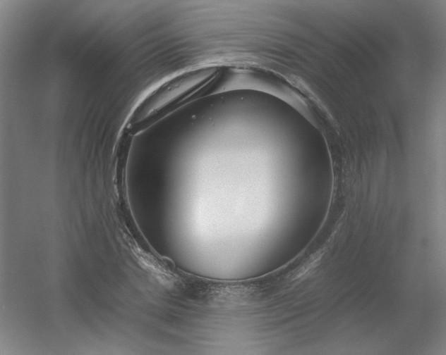 X0000054410830200508121723