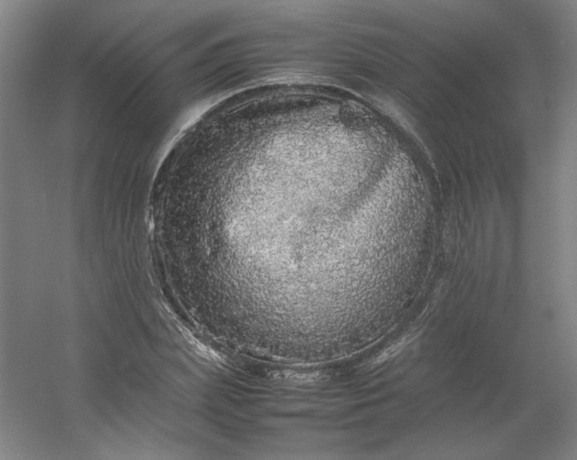 X0000054410831200508121723