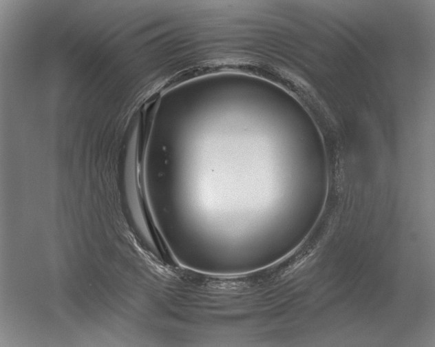 X0000054410833200508121723