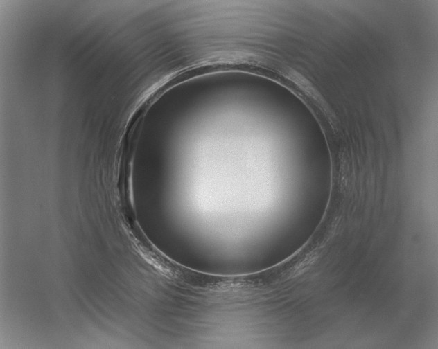 X0000054410834200508121723