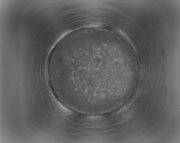 X0000054410835200508121723