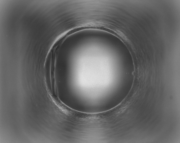 X0000054410838200508121723