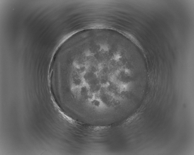 X0000054410839200508121723