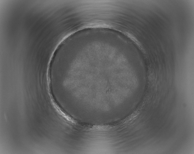 X0000054410840200508121723