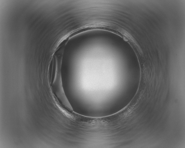 X0000054410842200508121723