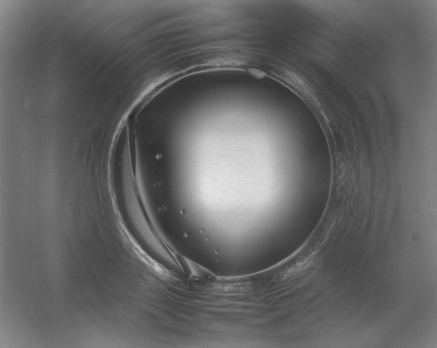 X0000054410843200508121723