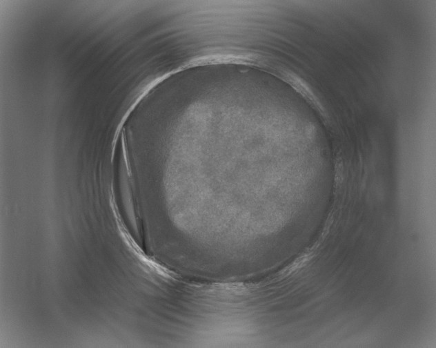 X0000054410844200508121723