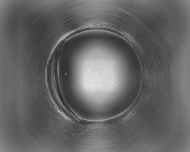 X0000054410846200508121723