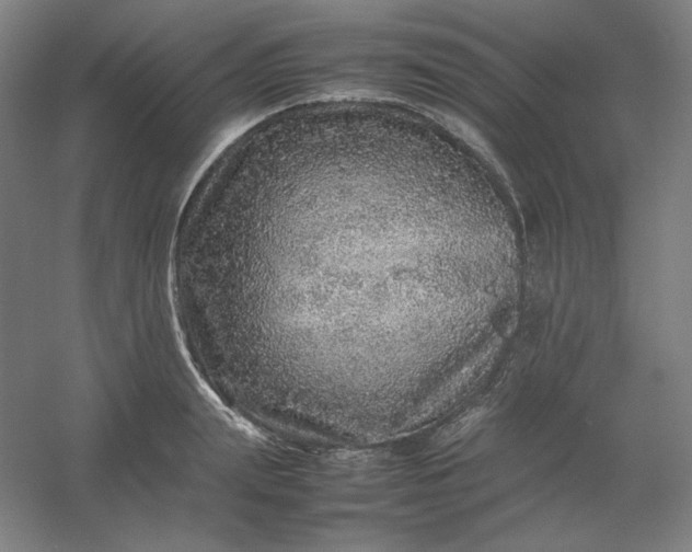 X0000054410847200508121723