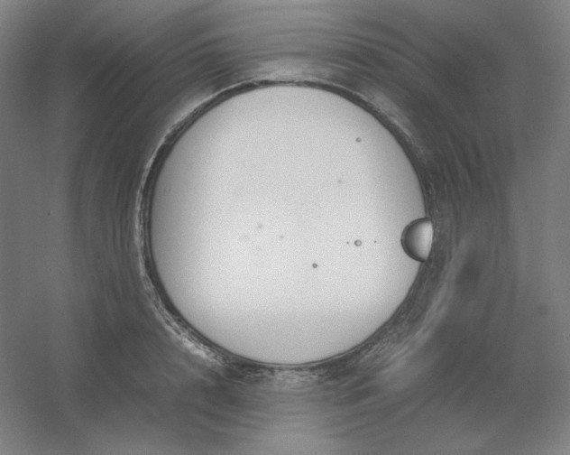 X0000054410848200508121723