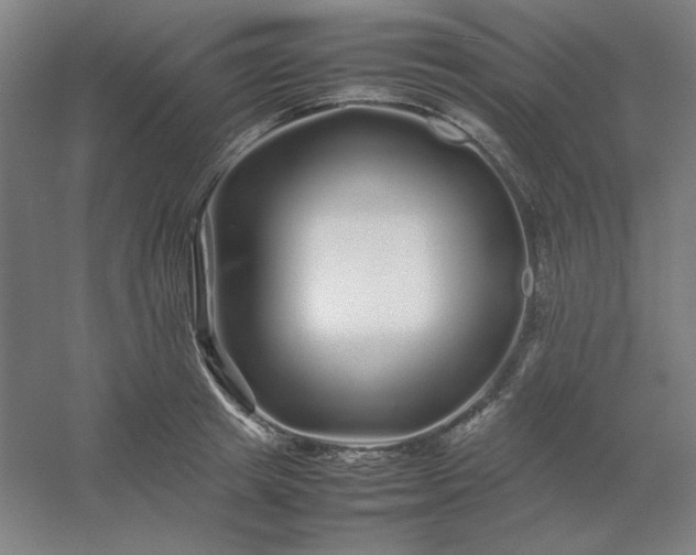 X0000054410849200508121723