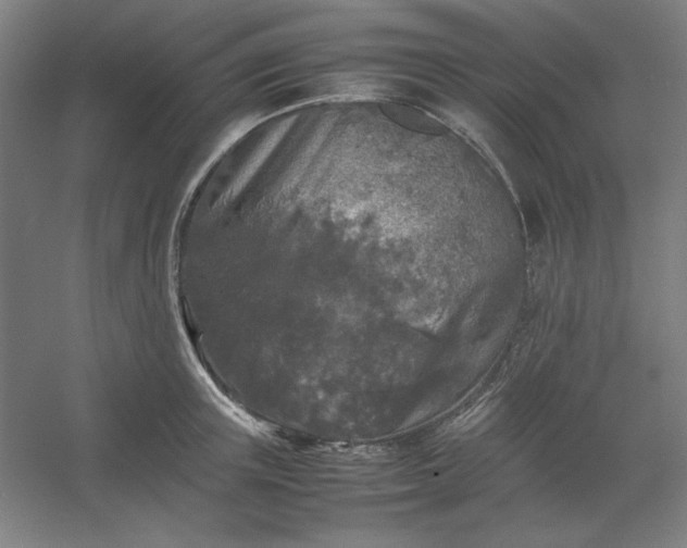 X0000054410851200508121723