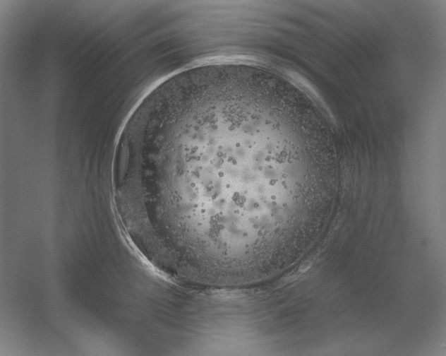 X0000054410852200508121723