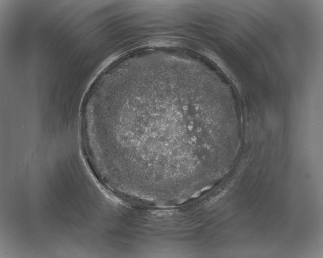 X0000054410853200508121723